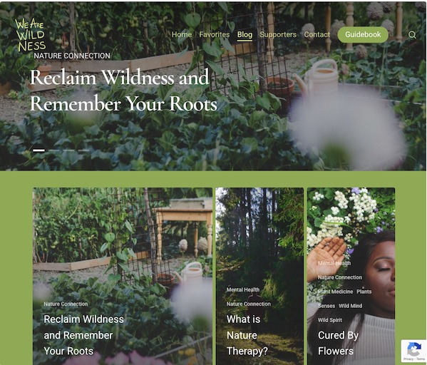 Sustainability blog example